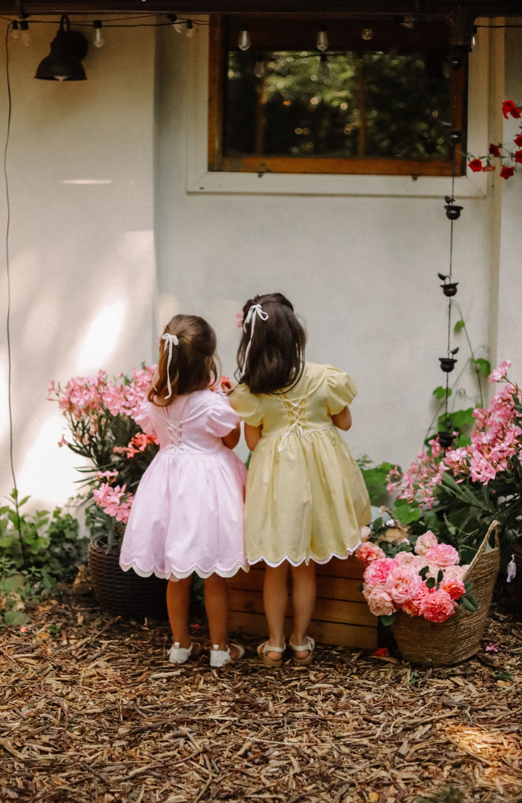 Сукня Олівія рожева